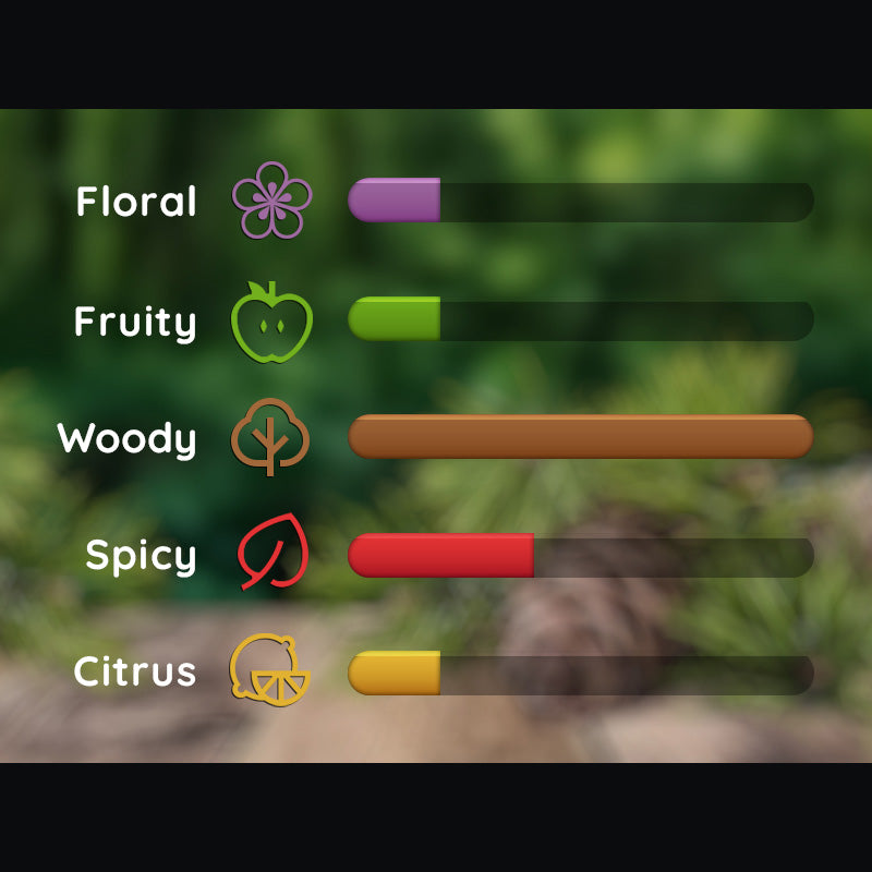 bar scale filtered by scent categories for cedar men's product