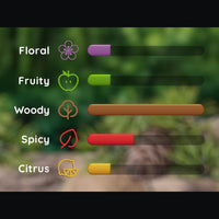 bar scale filtered by scent categories for cedar men's product