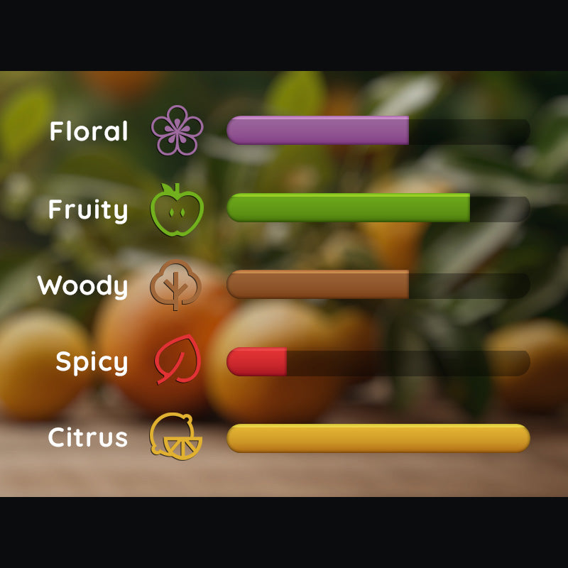 bar scale filtered by scent categories for satsuma men's product