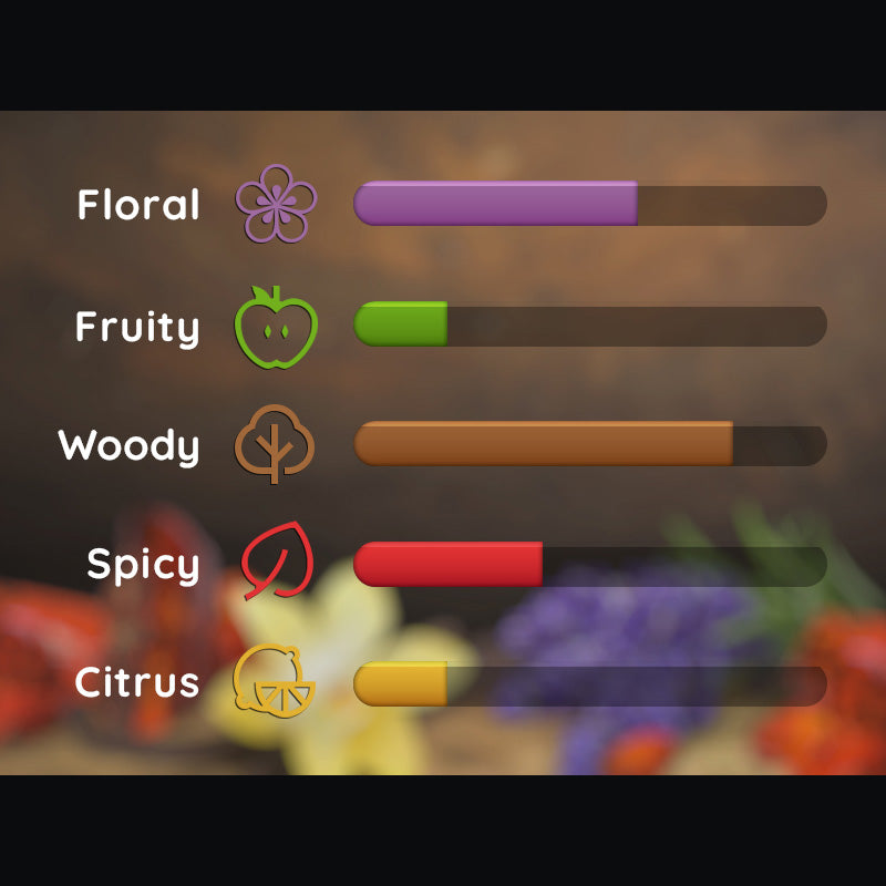 bar scale filtered by scent categories for dark amber men's product